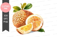 Watercolor illustration of a jackfruit Product Image 1