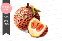 Lychee fruit clipart png Product Image 1