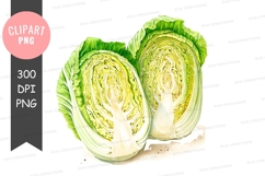 Fresh cabbage clipart png Product Image 1
