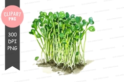 Fresh watercress clipart png Product Image 1