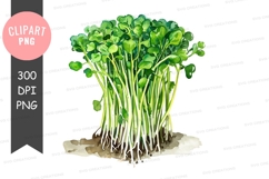 Fresh green microgreens clipart png Product Image 1