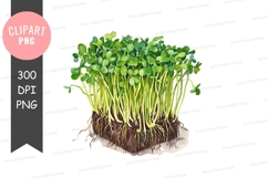 Vibrant microgreens clipart png Product Image 1
