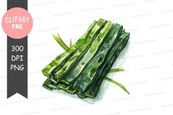 Fresh green asparagus clipart png Product Image 1