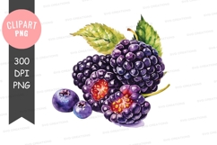 Watercolor illustration of berries Product Image 1