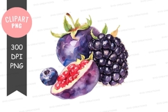 Assorted berries clipart png Product Image 1