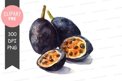 Passion fruit clipart png Product Image 1