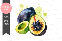Watercolor illustration of passion fruit Product Image 1