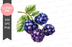 Cluster of grapes clipart png Product Image 1