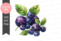 Blueberries with leaves clipart png Product Image 1