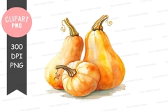 Autumn harvest pumpkins clipart png Product Image 1