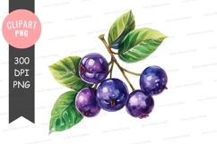 Watercolor illustration of berries Product Image 1