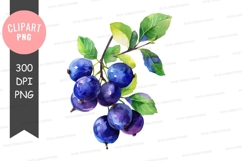 Blueberry branch clipart png Product Image 1
