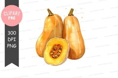 Three butternut squashes clipart png Product Image 1
