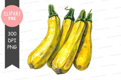 Yellow squash clipart png Product Image 1