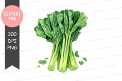 Bunch of green leafy vegetables clipart png Product Image 1