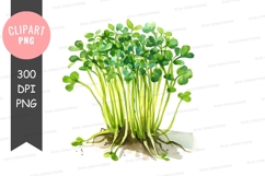 Watercolor illustration of fresh microgreens Product Image 1