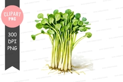 Fresh green vegetable clipart png Product Image 1