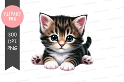 Adorable kitten clipart png Product Image 1