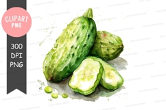 Watercolor cucumbers clipart png Product Image 1