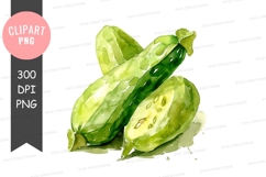Watercolor cucumber clipart png Product Image 1