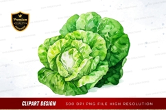 Fresh green cabbage clipart png Product Image 1