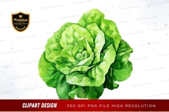 Fresh lettuce clipart png Product Image 1