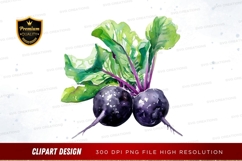 Fresh beetroot clipart png Product Image 1