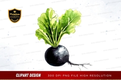 Fresh vegetable - radish Product Image 1
