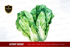 Fresh green lettuce clipart png Product Image 1