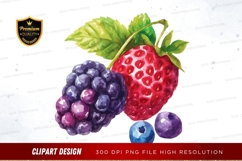 Assorted berries clipart png Product Image 1