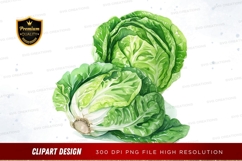 Fresh cabbage clipart png Product Image 1