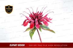 Vibrant red flower clipart png Product Image 1