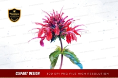 Vibrant red flower clipart png Product Image 1