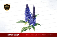 Blue delphinium flowers clipart png Product Image 1