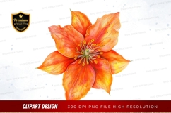 Vibrant orange flower clipart png Product Image 1