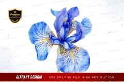 Blue iris flower clipart png Product Image 1