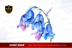 Bluebell flowers clipart png Product Image 1