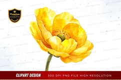 Bright yellow poppy flower clipart png Product Image 1