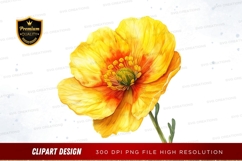 Vibrant yellow poppy flower Product Image 1