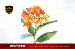 Vibrant orange blossoms clipart png Product Image 1