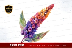 Colorful flower clipart png Product Image 1