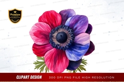Vibrant anemone flower clipart png Product Image 1