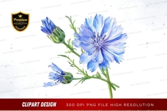Blue cornflower clipart png Product Image 1