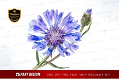 Blue cornflower clipart png Product Image 1