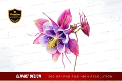 Colorful columbine flower clipart png Product Image 1