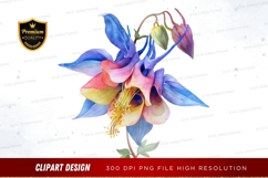 Colorful columbine flower clipart png Product Image 1
