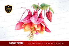 Vibrant fuchsia flowers clipart png Product Image 1