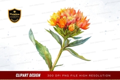 Vibrant orange flower clipart png Product Image 1