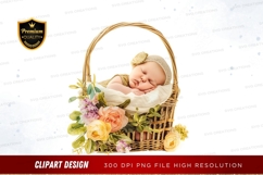 Sleeping baby in a basket with flowers - clipart png Product Image 1
