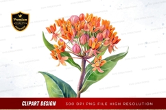Vibrant orange and pink flower clipart png Product Image 1